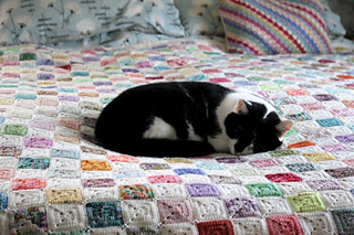 Crochet Battenberg Blanket