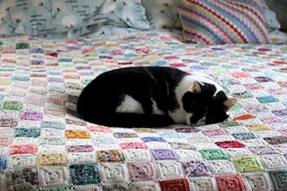 Crochet Battenberg Blanket