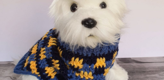 Crochet Dog Sweater – Free Pattern